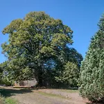 Logis Des Tilleuls