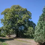 Logis Des Tilleuls Casa vacanze *